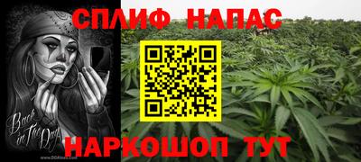 ешки Гатчина
