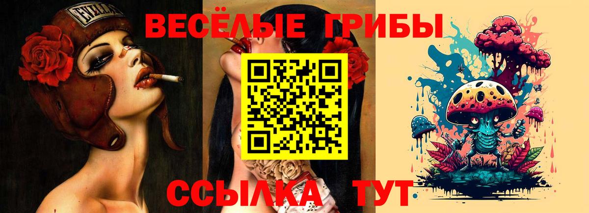 Псилоцибиновые грибы мухоморы Гатчина