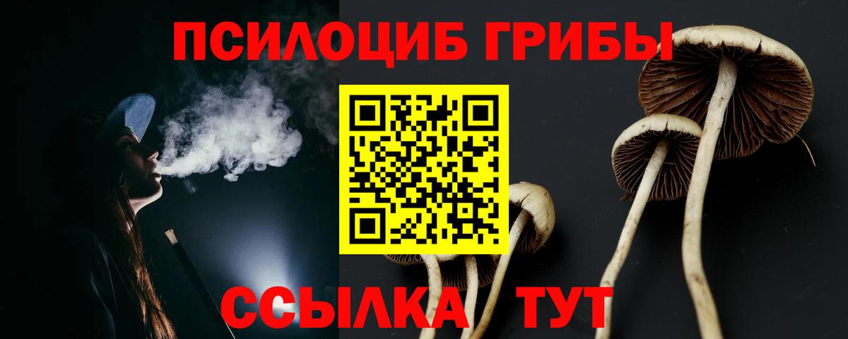 Гатчина  Псилоцибиновые грибы MAGIC MUSHROOMS  Вход с VPN 